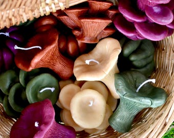 Set di candele a forma di fungo in cera d'api naturale, confezione in stile almanacco antico dipinta a mano, decorazione rustica a tema foresta.