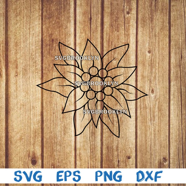 Edelweiss flower, edelweiss, flower, outline, svg, png, eps, dxf, digital file