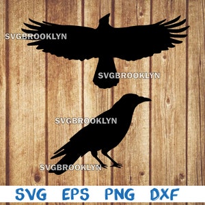 Crow, raven, silhouette, picture, svg, png, eps, dxf, digital download file