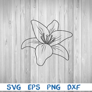 Lily, outline, lily flower, flower, picture, svg, png, eps, dxf, digital download file