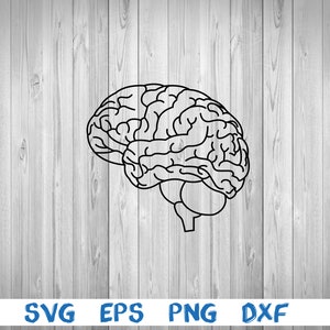 May include: A black and white line drawing of a human brain. The brain is shown in profile, with the left side of the brain facing the viewer.
