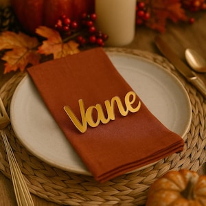 May include: A fall-themed table setting with a rust-colored napkin and a gold-colored nameplate that reads "Vane". The setting includes a white plate, a small pumpkin, and a candle. Autumn leaves and berries are also visible.