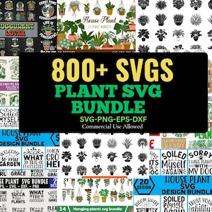 Puede incluir: Un conjunto de paquetes de diseño digital con gráficos temáticos de plantas. La imagen incluye varios archivos SVG con texto como "Succulent Lover" y "House Plant". El gráfico central dice "800+ SVGs Plant SVG Bundle."