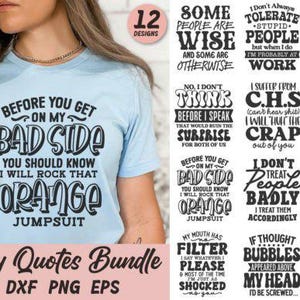 May include: Light blue t-shirt with the text "BEFORE YOU GET ON MY BAD SIDE YOU SHOULD KNOW I WILL ROCK THAT ORANGE JUMPSUIT." The image also includes a bundle of 12 snarky quote designs.
