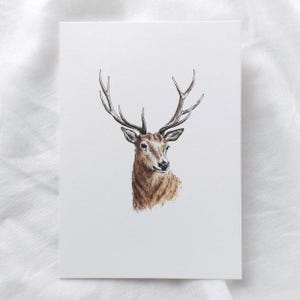 Karte mit Hirsch | Weihnachtskarte Aquarell  | Weihnachtsgrüße | Wald | Weihnachtspost | Postkarte | Klappkarte | Naturliebhaber