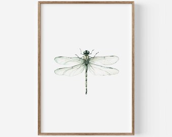 Affiche Libellule | Aquarelle | Reproduction d'art | Décoration murale nature | A5 | Cadeau pour les amoureux de la nature | Affiche Libellule minimaliste