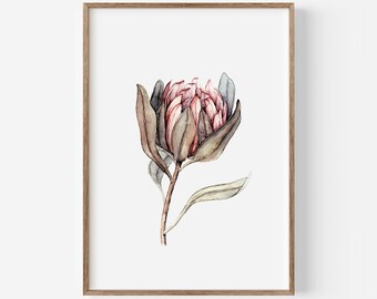 Affiche Protea | Aquarelle de Protea | Estampe botanique d'art | Décoration murale florale | Cadeau pour les amoureux de la nature | Affiche florale | Poster de plante