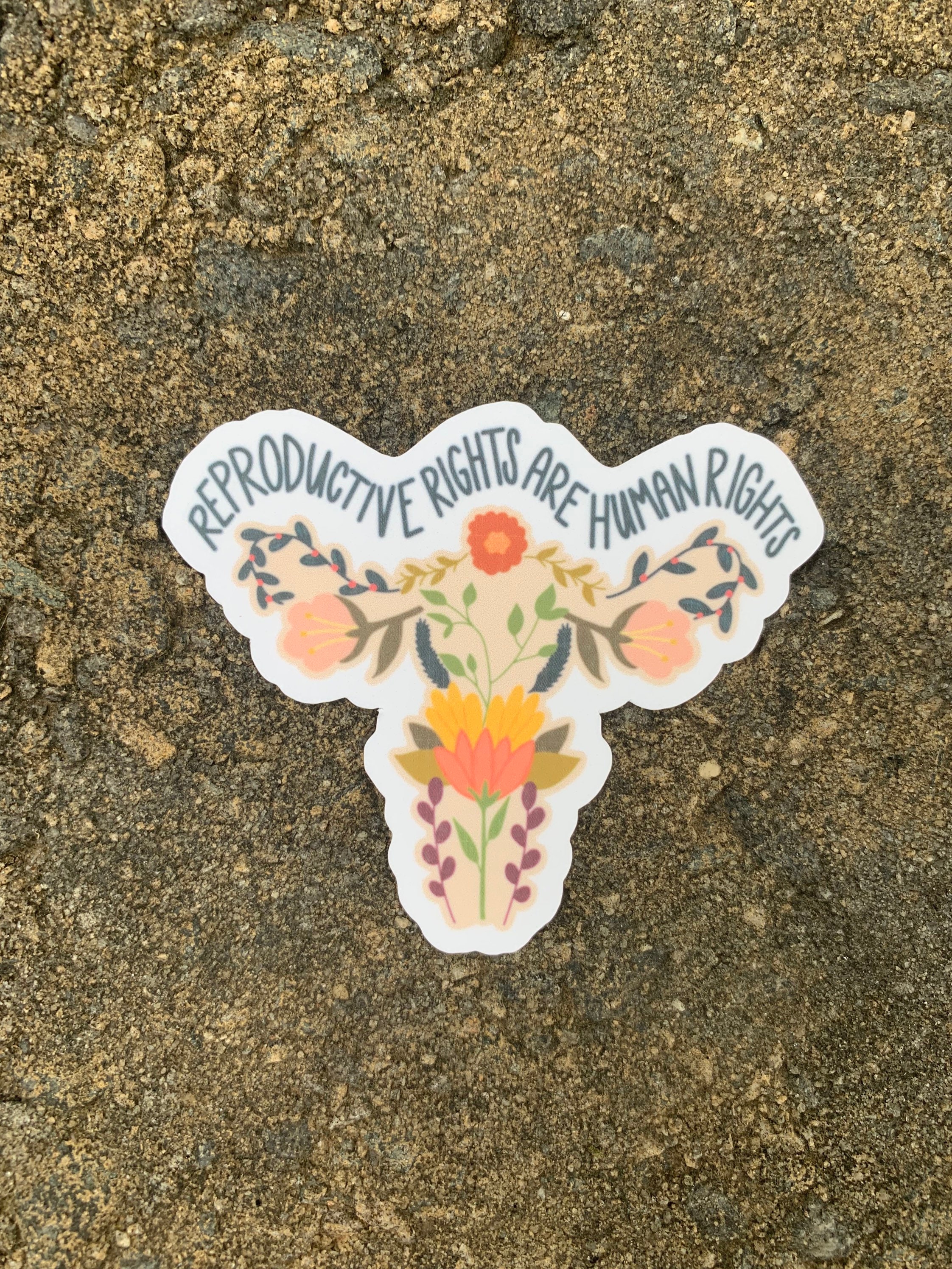 Reproductive Rights Sticker/ Iconic/ Vinyl/ Weatherproof - Etsy