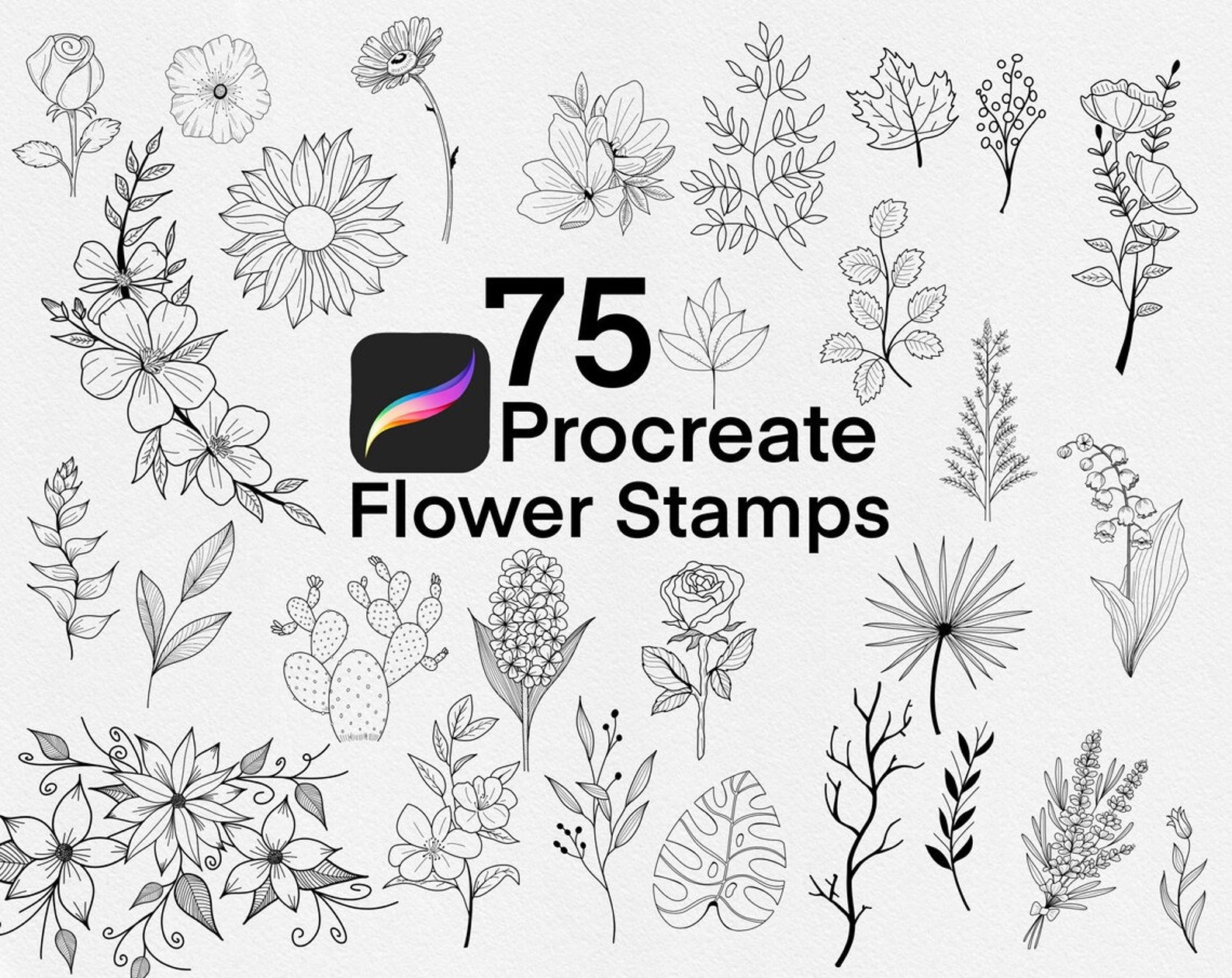 Procreate Flower Stamps, Procreate Floral Brushset, Commercial Use ...