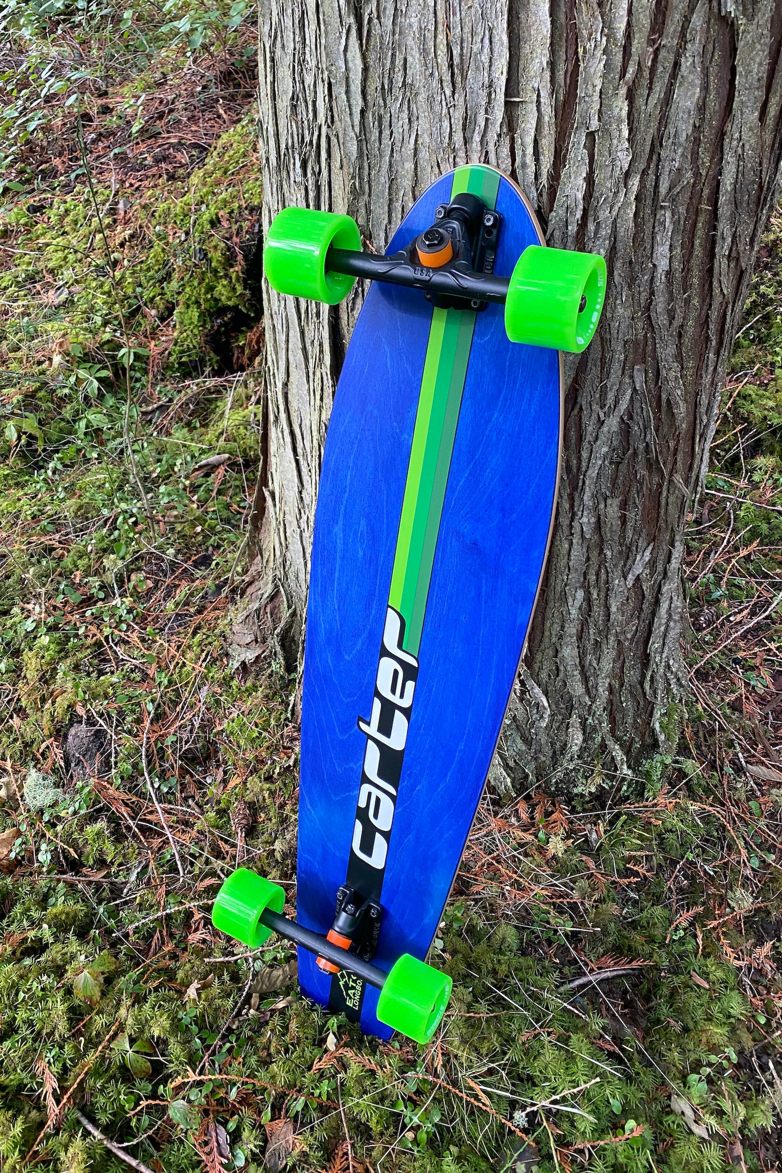 Custom Built Longboard, Cruiser, Pintail, Fishtail, Skateboard