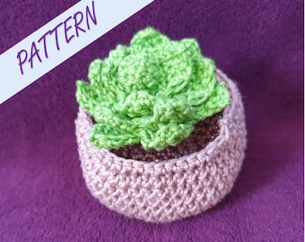 Virkat mönster för suckulentmönster av Echeveria: Amigurumi-nybörjarguide (PDF-mönster)