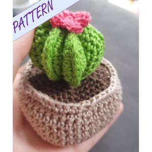 Crochet cactus casquette d&#39;évêque, amigurumi, crochet débutants, cactus crochet, succulent, crochet mignon, motif crochet, faux cactus