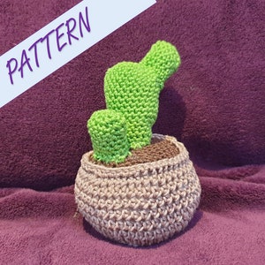 Cactus lapin au crochet, amigurumi, crochet pour débutants, crochet fleur, succulent, cactus, joli crochet, motif au crochet, faux cactus