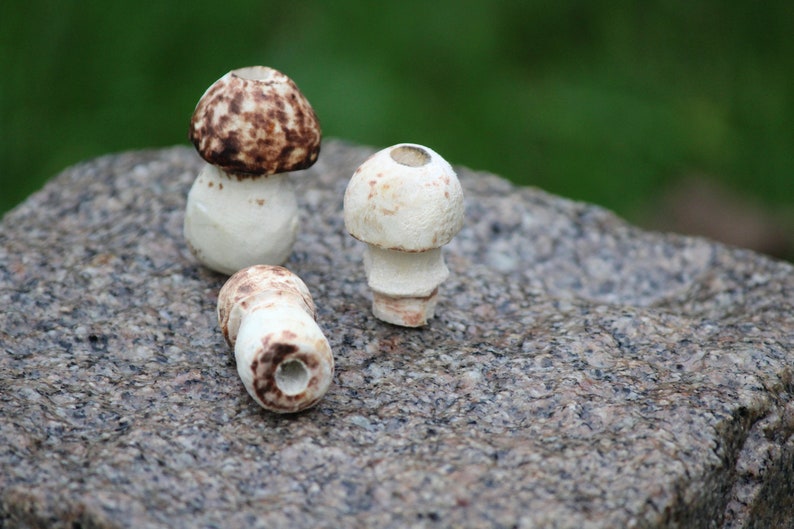wood Dreadkraal mushroom autumn bead handmade.