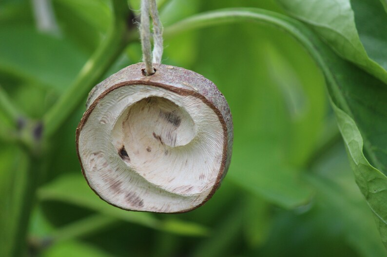 handmade. Necklace shell wooden pendant