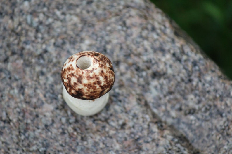 wood Dreadkraal mushroom autumn bead handmade.
