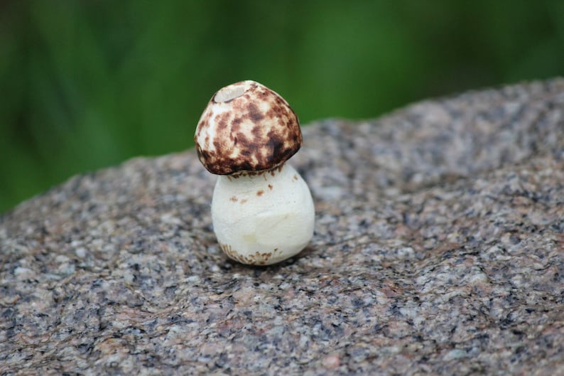 wood Dreadkraal mushroom autumn bead handmade.