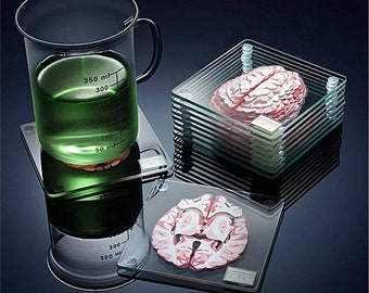 Brain Anatomy Coaster Set | Medical Gift | Medical Student Present | Anatomy Model | Science Gift | Brain Model