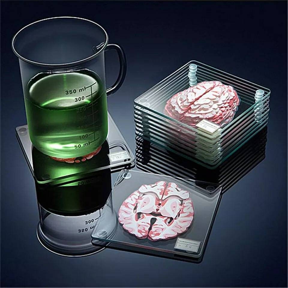 Brain Anatomy Coaster Set