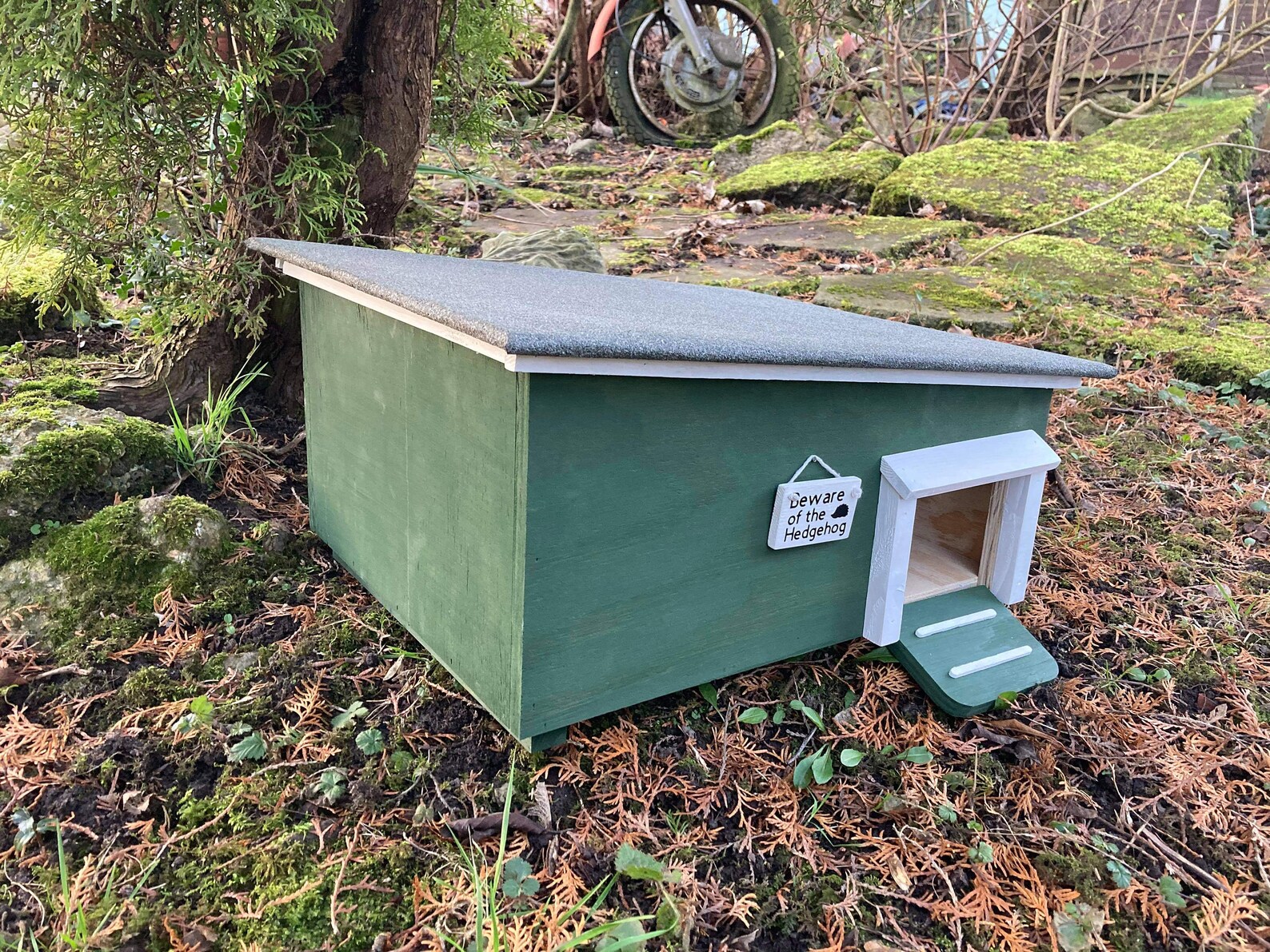 Deluxe Hedgehog House Etsy