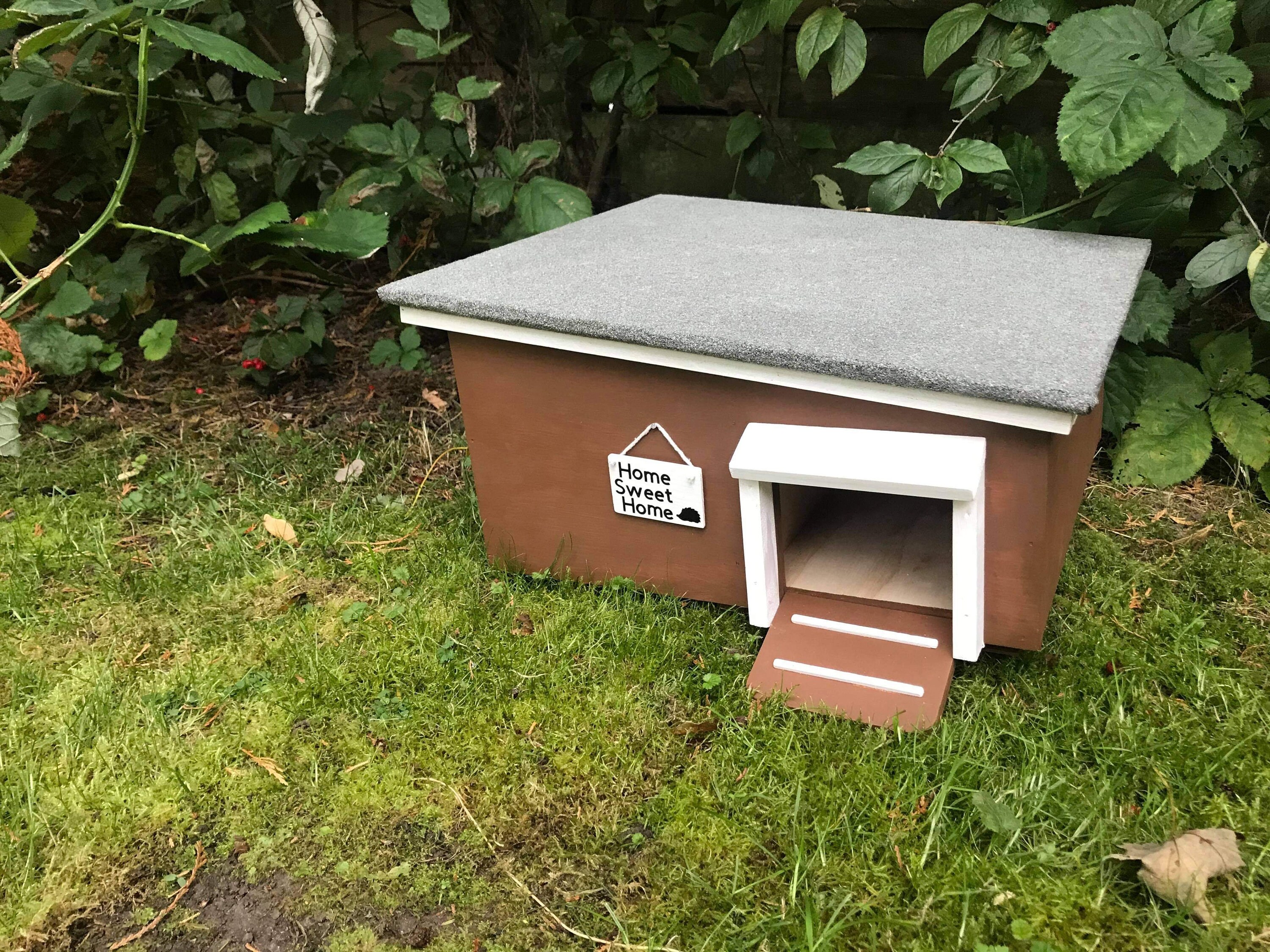 Deluxe Hedgehog House Etsy