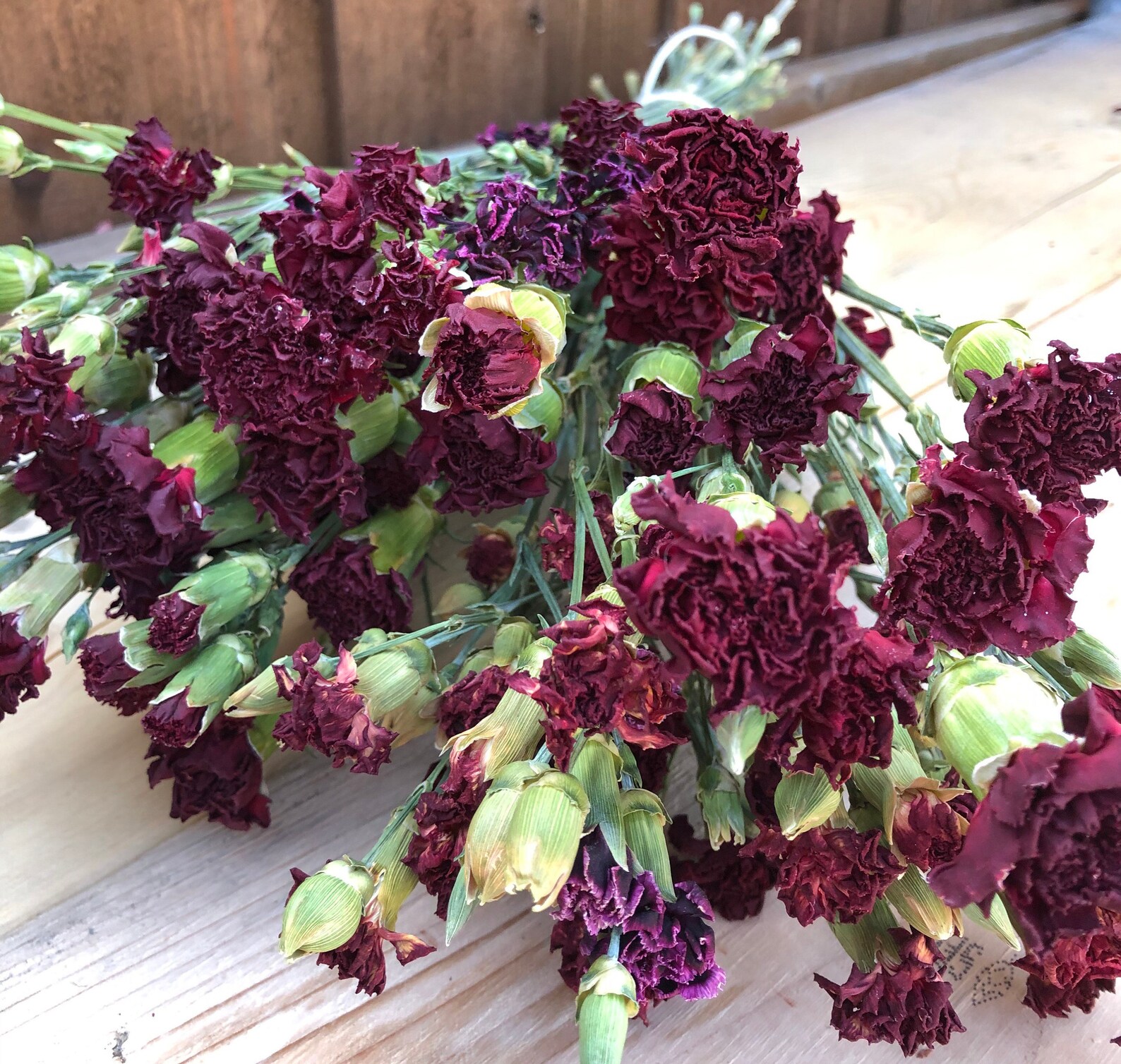 50 stems Carnations Dried flowers Bouquet Rustic vintage Etsy