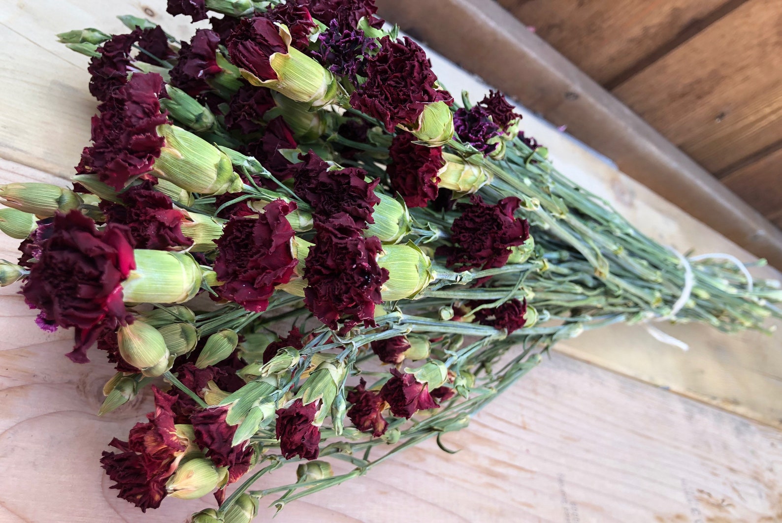50 stems Carnations Dried flowers Bouquet Rustic vintage Etsy