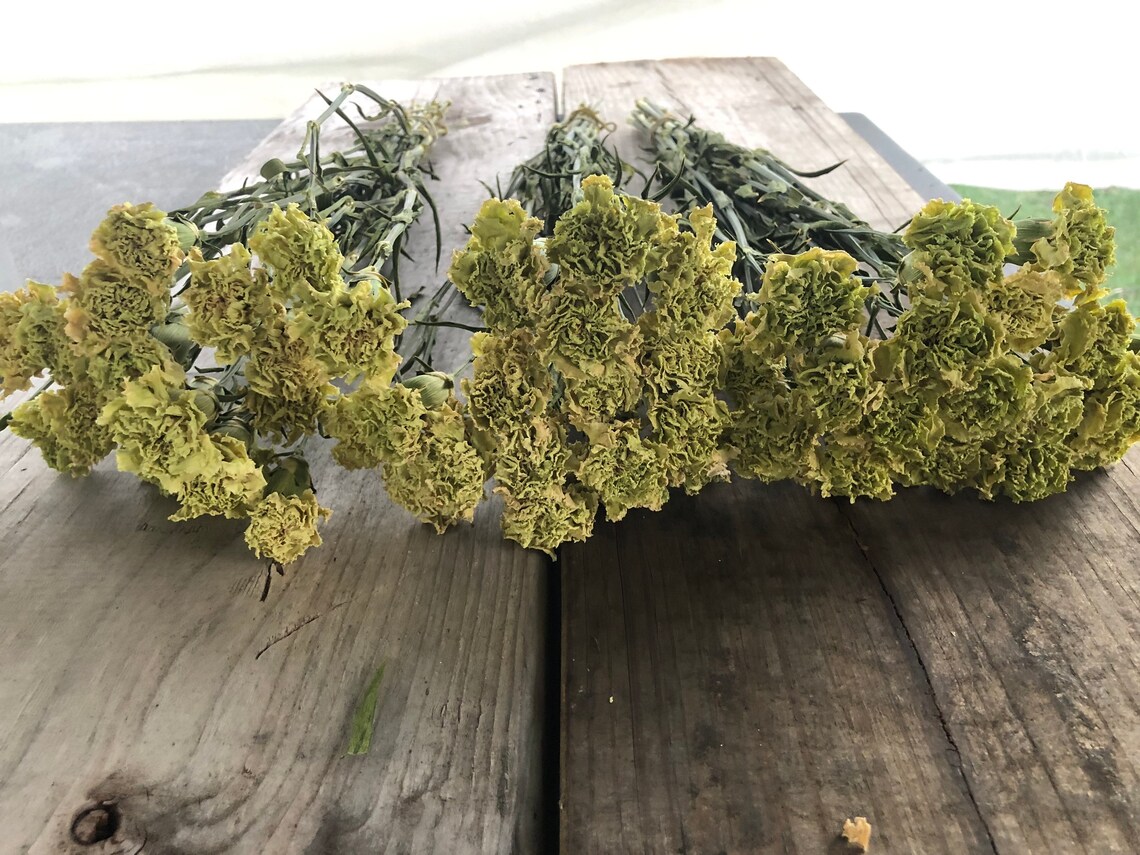 18 tallos Claveles secos Flores secas Ramo Rústico bouquet Etsy