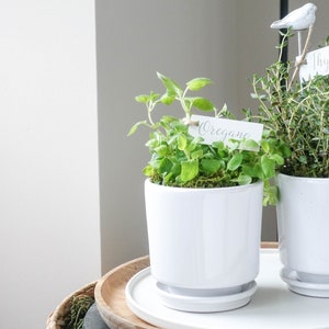 CYLINDER PLANTER, Ceramic planter with drainage and saucer, Modern planter, 4 inch pot