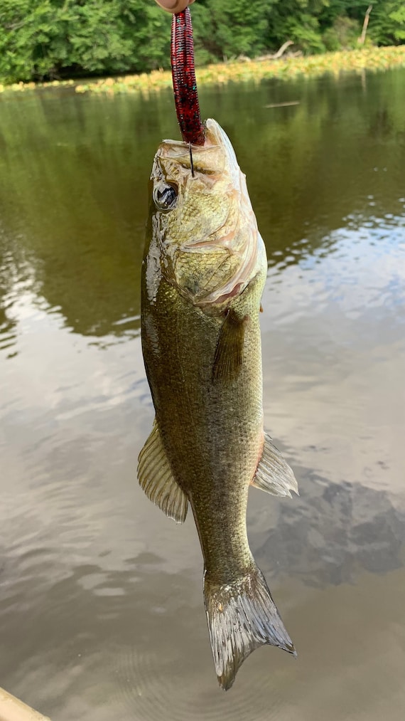 5 Redbug Stick Worm, Soft Plastic Bait, Senko Style, Bass Fishing