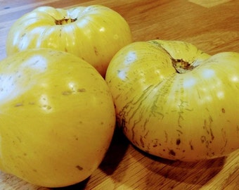 Pineapple Pig tomato seeds