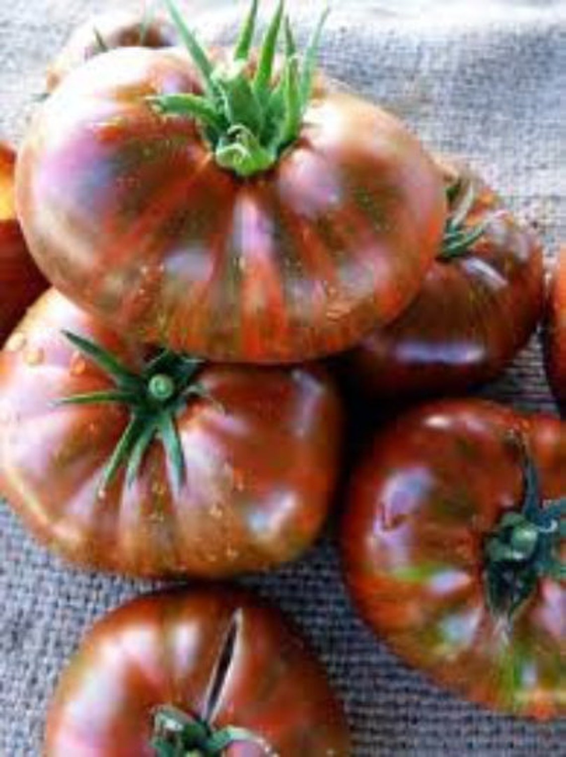 Chocolate Stripes tomato seeds Organic Heirloom Tomato Seeds Etsy