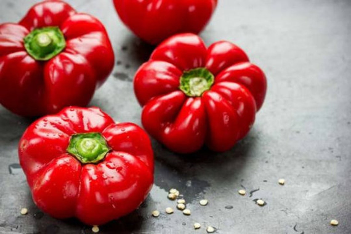 Round of Hungary Pepper Seeds Red Sweet Pepper Plant Red Etsy
