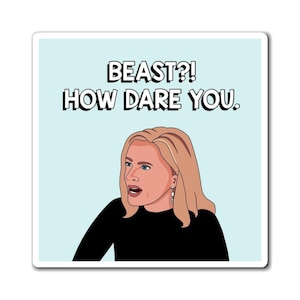 Real Housewives of Beverly Hills RHOBH Eileen Davidson Beast How Dare You magnet | Reality TV Bravo gift