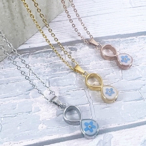 Natural Pressed Forget me Not Infinity Urn Necklace, Cremation Ashes Memorial Keepsake Pendant, Stainless Steel Urn Necklace, Jewellery