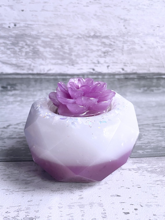 Succulent Planter Funeral Cremation Urn Memorial Ashes Etsy