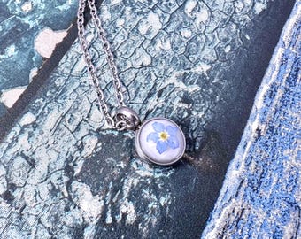 Urna conmemorativa de cenizas de cremación con flor de nomeolvides prensada auténtica, colgante grabado, collar de urna de acero inoxidable pulido