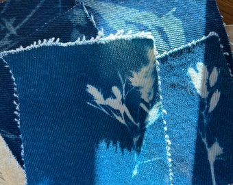 Cyanotype Mystery Patch -ferns and botanicals