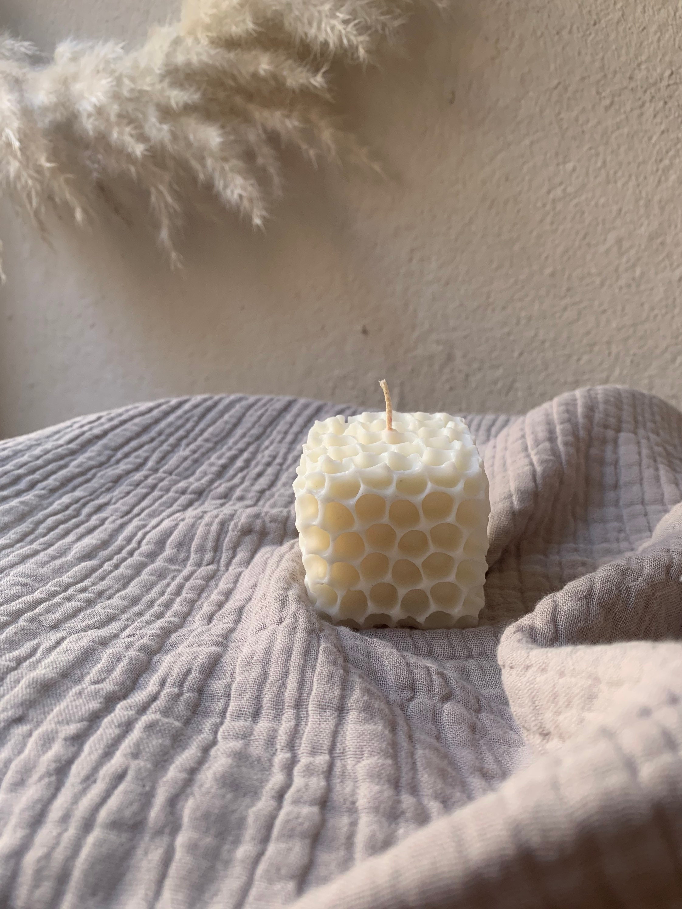 Cierbe Ciment Cire d'abeille Soja Soy Végétalien Exclusivement de Colza Vegancandle Durable Frangipa