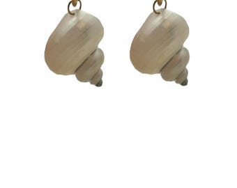 Shell earrings A560