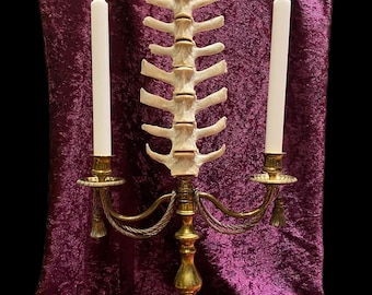 Sheep vertebra candelabra