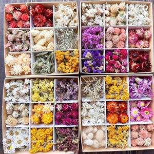 Flores secas para artesanato, confete de flores secas, kit para fazer velas, faça você mesmo, caixa de kit, mini flores preservadas