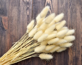 Bunny Tails Grass,  White  Dry flowers bouquet, Dried Flower Arrangement, Grass Pampas, Lagurus, Boho Decor Vase, Wedding Centerpiece