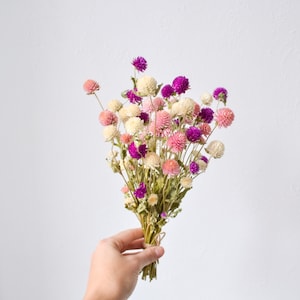 Dried pink flowers, Globe Amaranth, Purple Gomphrena, Wildflowers Floral Arrangements, flower for Candle, Craft DIY,  Boho Decor