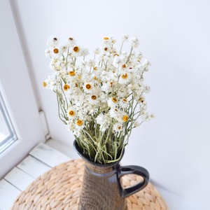 Dry Flower Arrangement, White Ammobium Bouquets, Daisy flower,  Wild flowers Bunch, Small Dried Flowers, Wedding Flower Arrangement