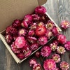 Mixed Dry Flower Box For Resin Art, Candle Making & Décor | Kart - Foto 10