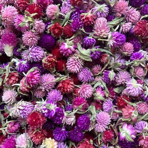 Mix Globe Amaranth Heads, Tiny flowers for Resin Jewelry, Gomphrena Confetti  petals, Candle Decor, Flower for Garland