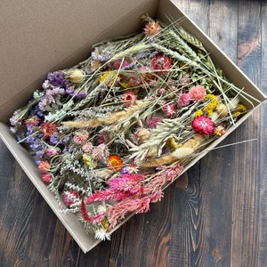 Dried Flower MEGA Box, Craft Pack, Mini Preserved Flower, Dry Flowers Epoxy Resin, Jewelry Craft, DIY Material, Candle Making image 2