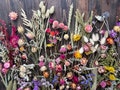 Dried Flower MEGA Box, Craft Pack, Mini Preserved Flower,  Dry Flowers Epoxy Resin, Jewelry Craft, DIY Material, Candle Making product logo