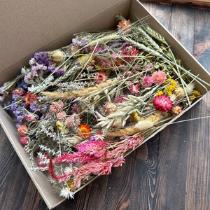 Dried Flower MEGA Box, Craft Pack, Mini Preserved Flower, Dry Flowers Epoxy Resin, Jewelry Craft, DIY Material, Candle Making image 3